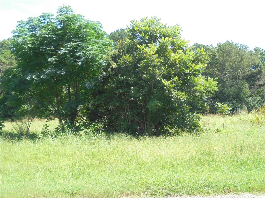 0 Mccurry Road Stockbridge, GA 30281 - Photo 9 of 9 Gallery Image 9