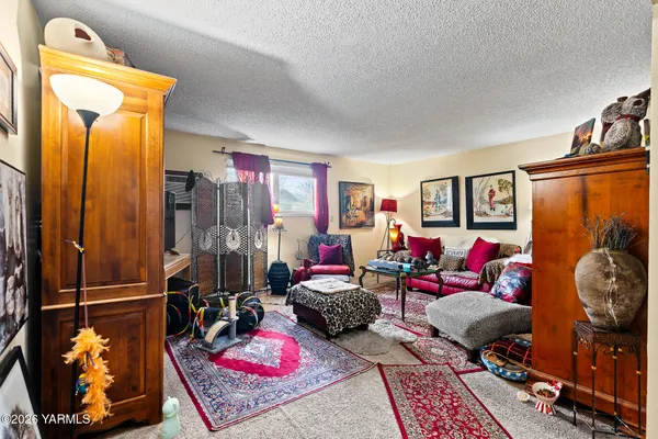 a living room with furniture a rug and a closet