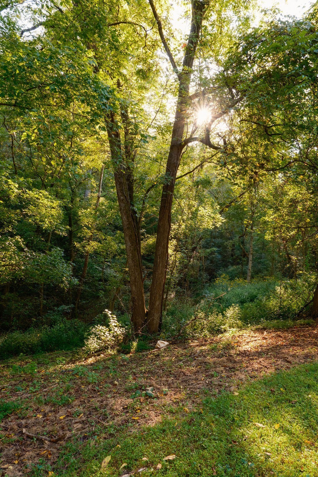 3685 Martin Ervin Road Santa Fe, TN 38482 - Photo 70 of 99 Gallery Image 70
