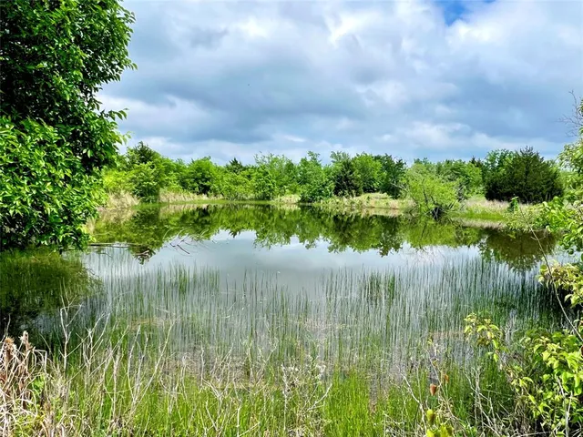 a view of a lake in middle of forest