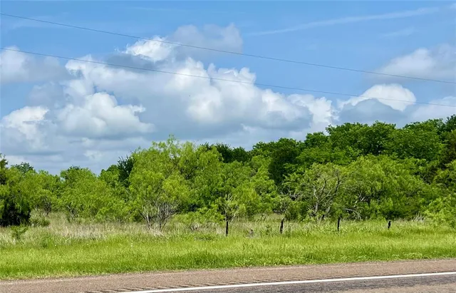 a view of a garden with an outdoor space