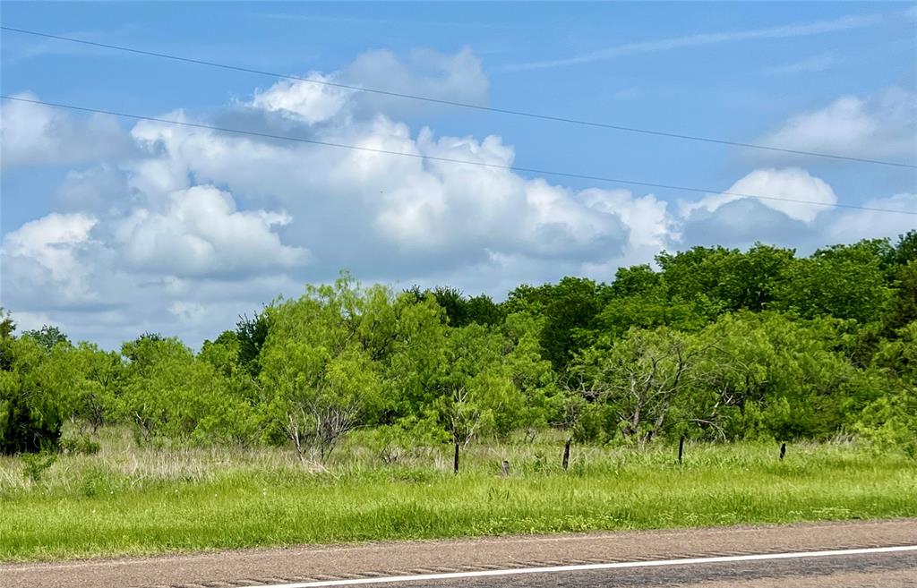 1 Fm 85 Ennis, TX 75119 - Photo 15 of 39 a view of a big yard