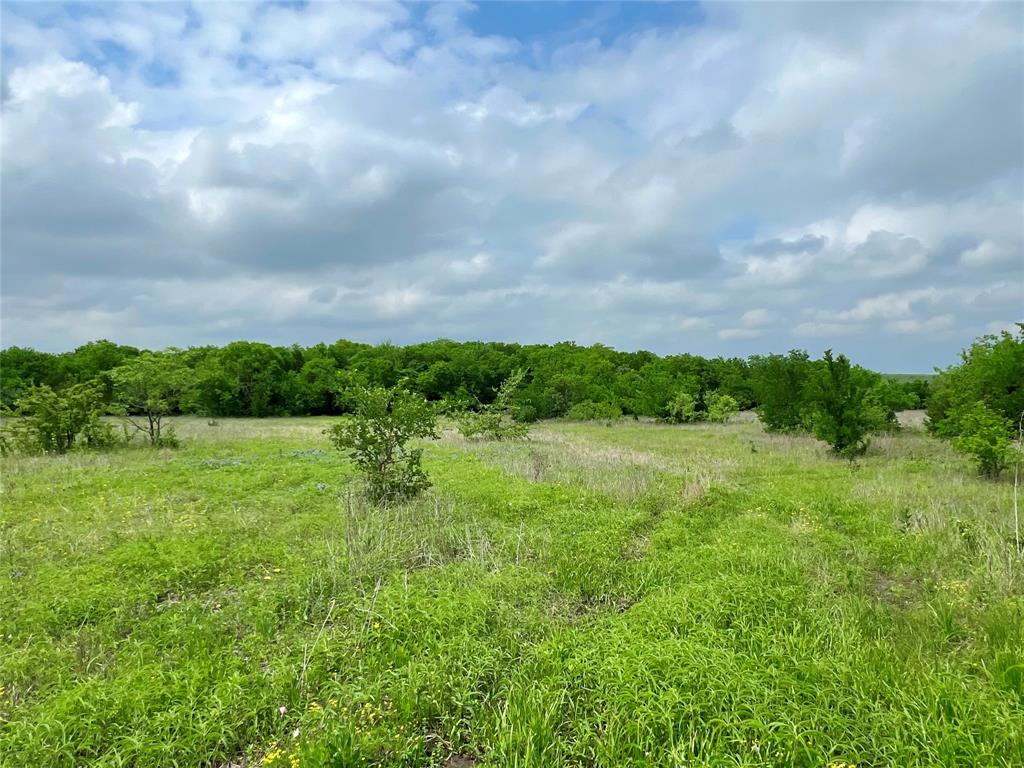 1 Fm 85 Ennis, TX 75119 - Photo 16 of 39 a view of an outdoor space and a yard
