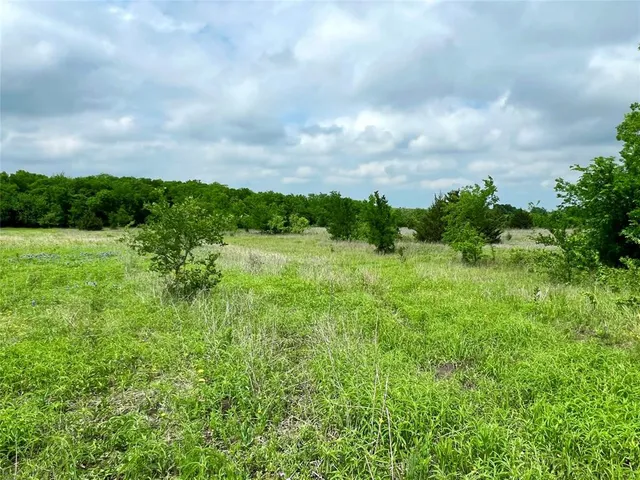 a view of a big yard with plants and a big yard