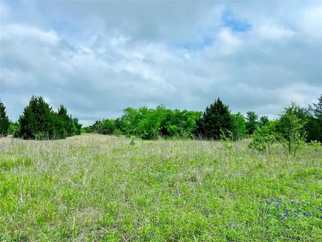 a backyard of a house with lots of green space and bench