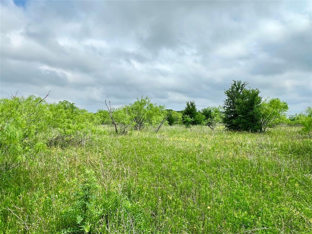 1 Fm 85 Ennis, TX 75119 - Photo 19 of 39 a view of a big yard with plants and a big yard