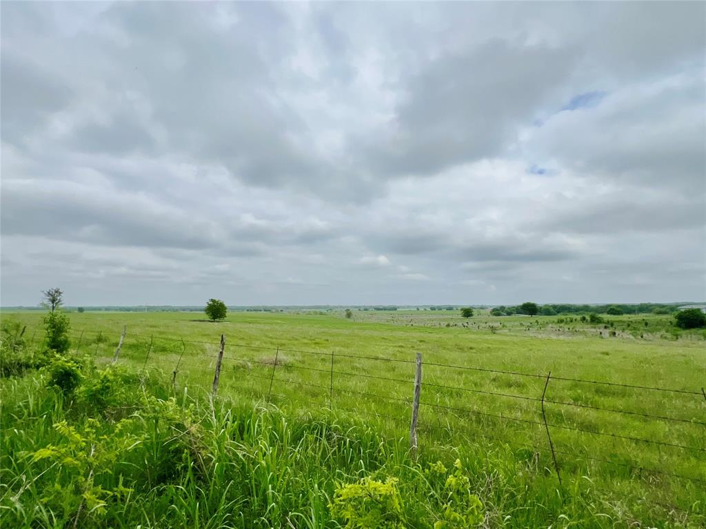 1 Fm 85 Ennis, TX 75119 - Photo 20 of 39 a backyard of a house with lots of green space and bench
