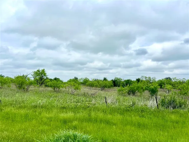 a view of a green field with lots of green space