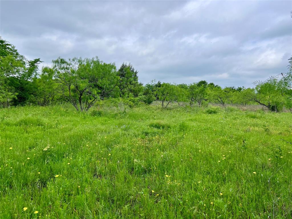 1 Fm 85 Ennis, TX 75119 - Photo 22 of 39 a view of a garden with a building in front of it