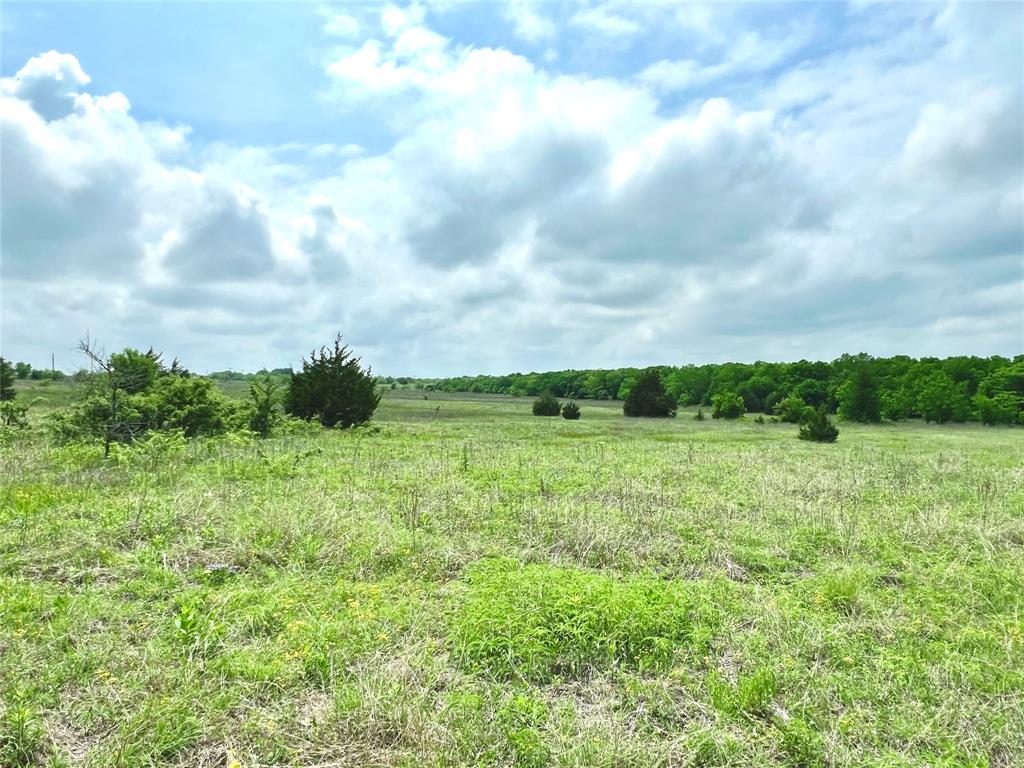 1 Fm 85 Ennis, TX 75119 - Photo 23 of 39 a view of a green field with lots of green space