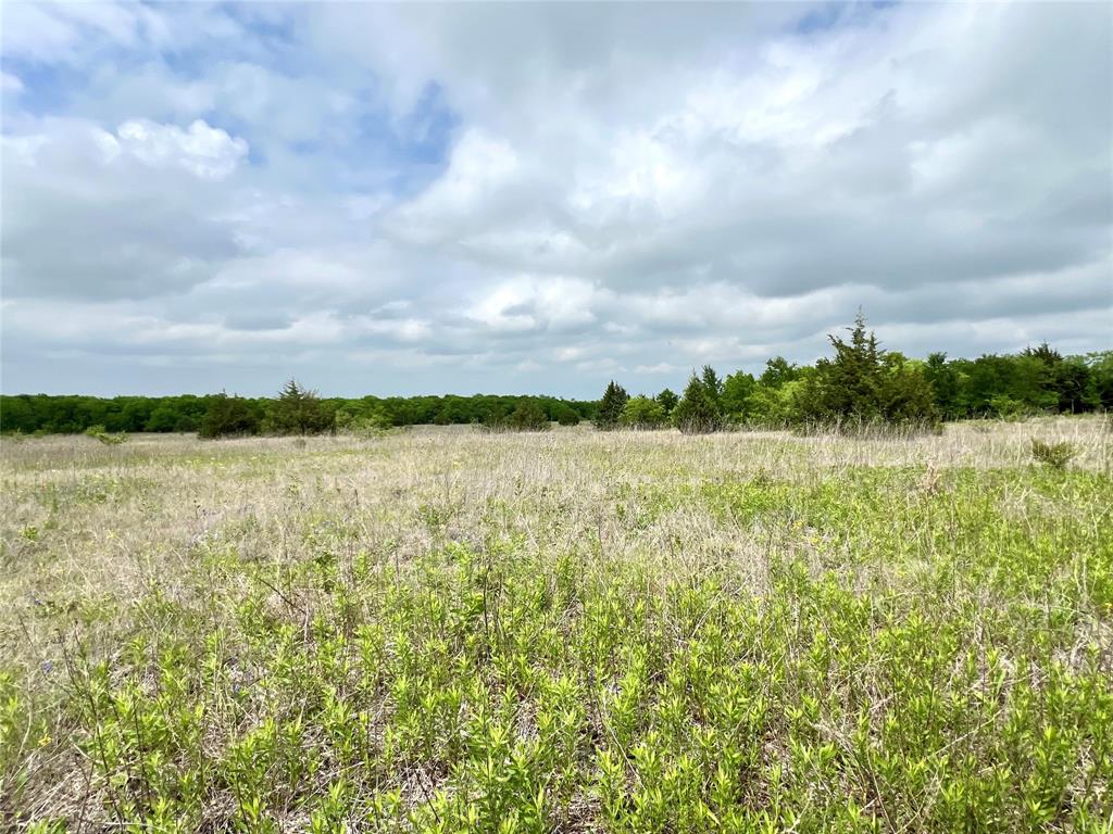 1 Fm 85 Ennis, TX 75119 - Photo 24 of 39 a view of a lake with houses in the back