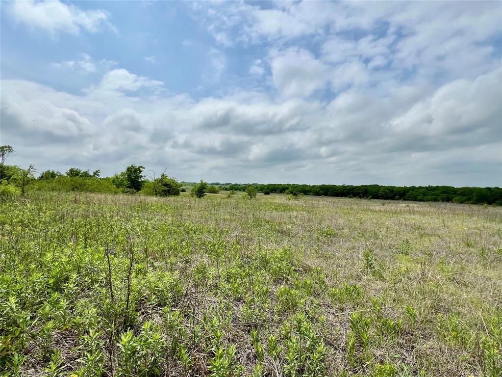 1 Fm 85 Ennis, TX 75119 - Photo 25 of 39 a view of a lake view