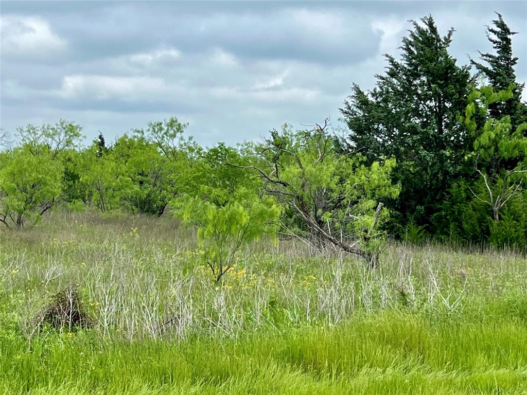 1 Fm 85 Ennis, TX 75119 - Photo 31 of 39 a view of a garden
