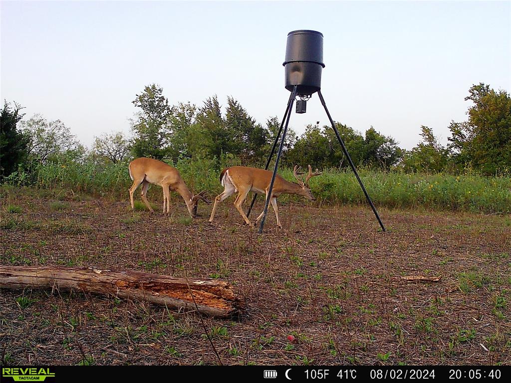1 Fm 85 Ennis, TX 75119 - Photo 33 of 39 a view of a outdoor space