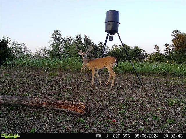a view of table and chairs