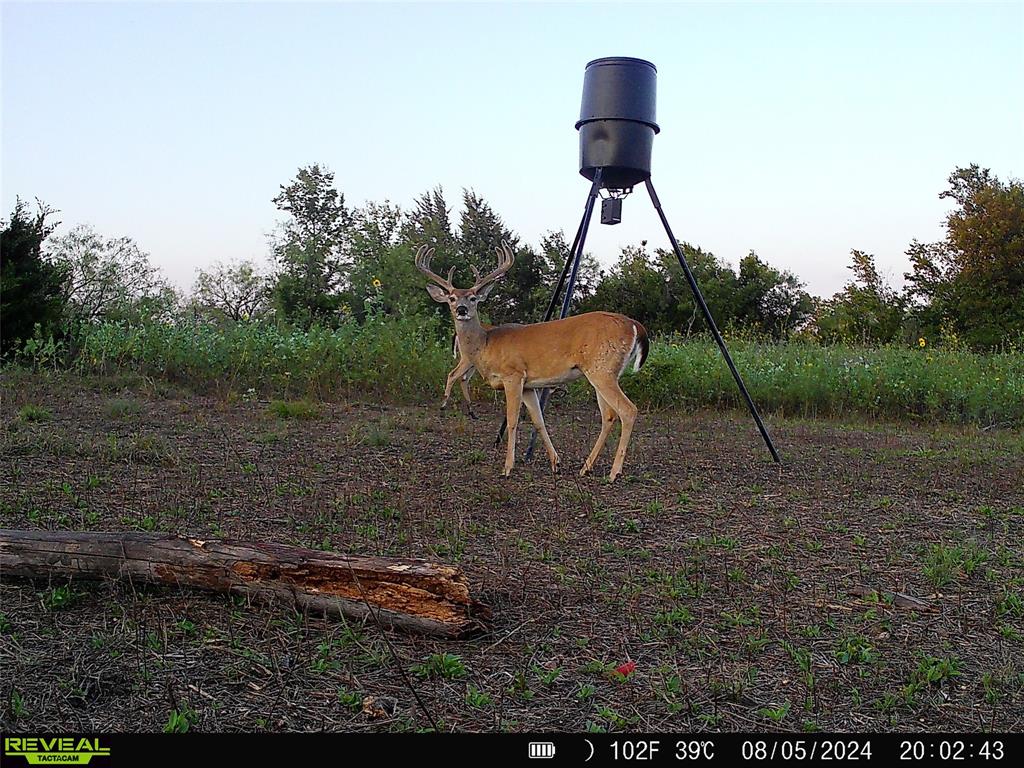 1 Fm 85 Ennis, TX 75119 - Photo 34 of 39 a backyard of a house with lots of green space