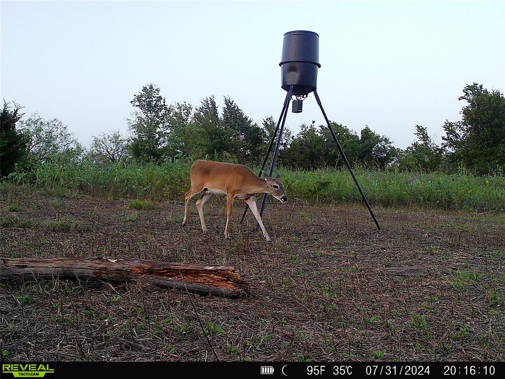 1 Fm 85 Ennis, TX 75119 - Photo 35 of 39 a backyard of a house with table and chairs