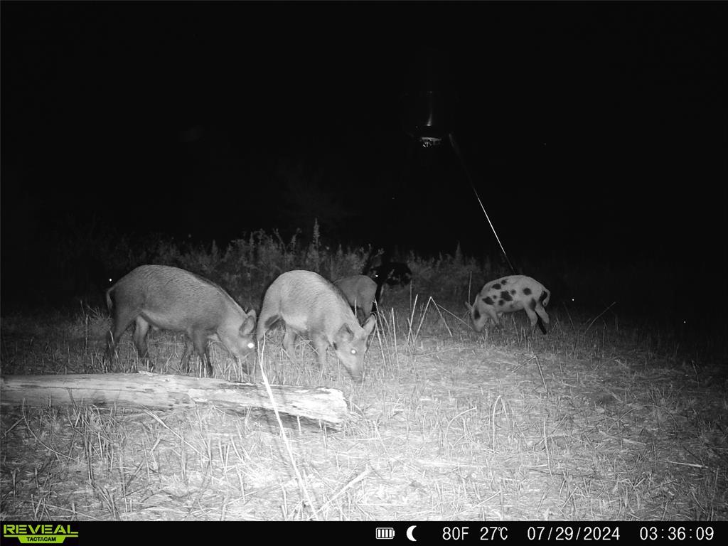 1 Fm 85 Ennis, TX 75119 - Photo 36 of 39 a kitchen with a sink and cabinets