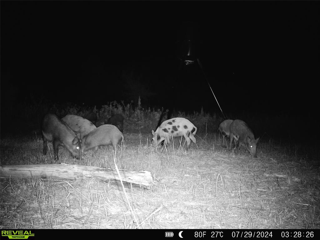 1 Fm 85 Ennis, TX 75119 - Photo 37 of 39 a view of table and chairs