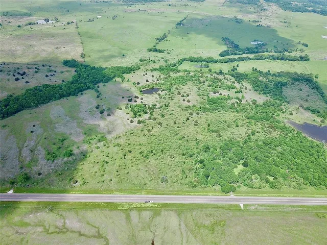 a view of a yard with a street