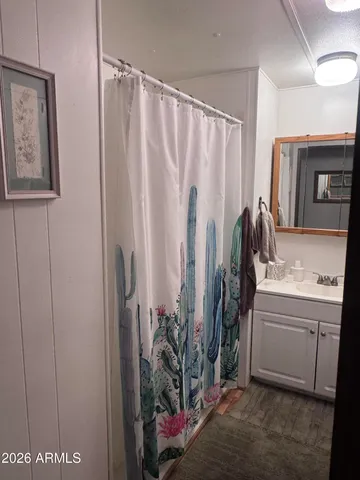 a bathroom with a shower curtain and a sink