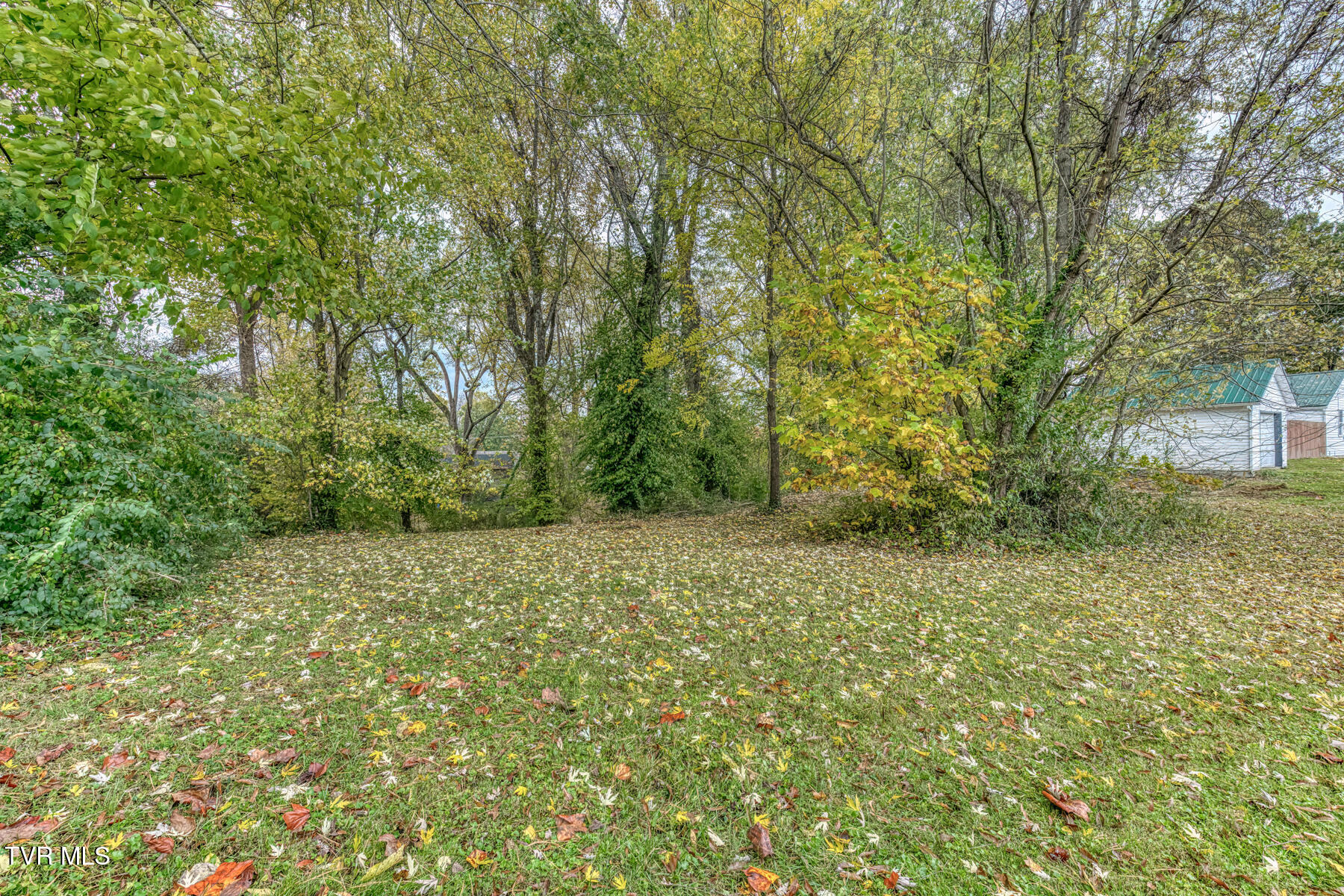196 Hopper Road Johnson City, TN 37604 - Photo 36 of 47 196 Hopper Rd-39