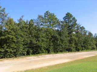 $30,000 | 0 Shore Drive, Unit LOT 35, Orangeburg, SC 29118