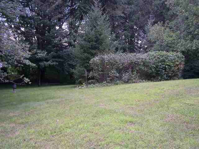58 Rapple Drive Colonie, NY 12205 - Photo 12 of 12 Photo 12