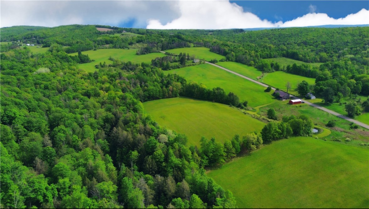 324 Murphy Hill Road Catlin, NY 14845 - Photo 44 of 47