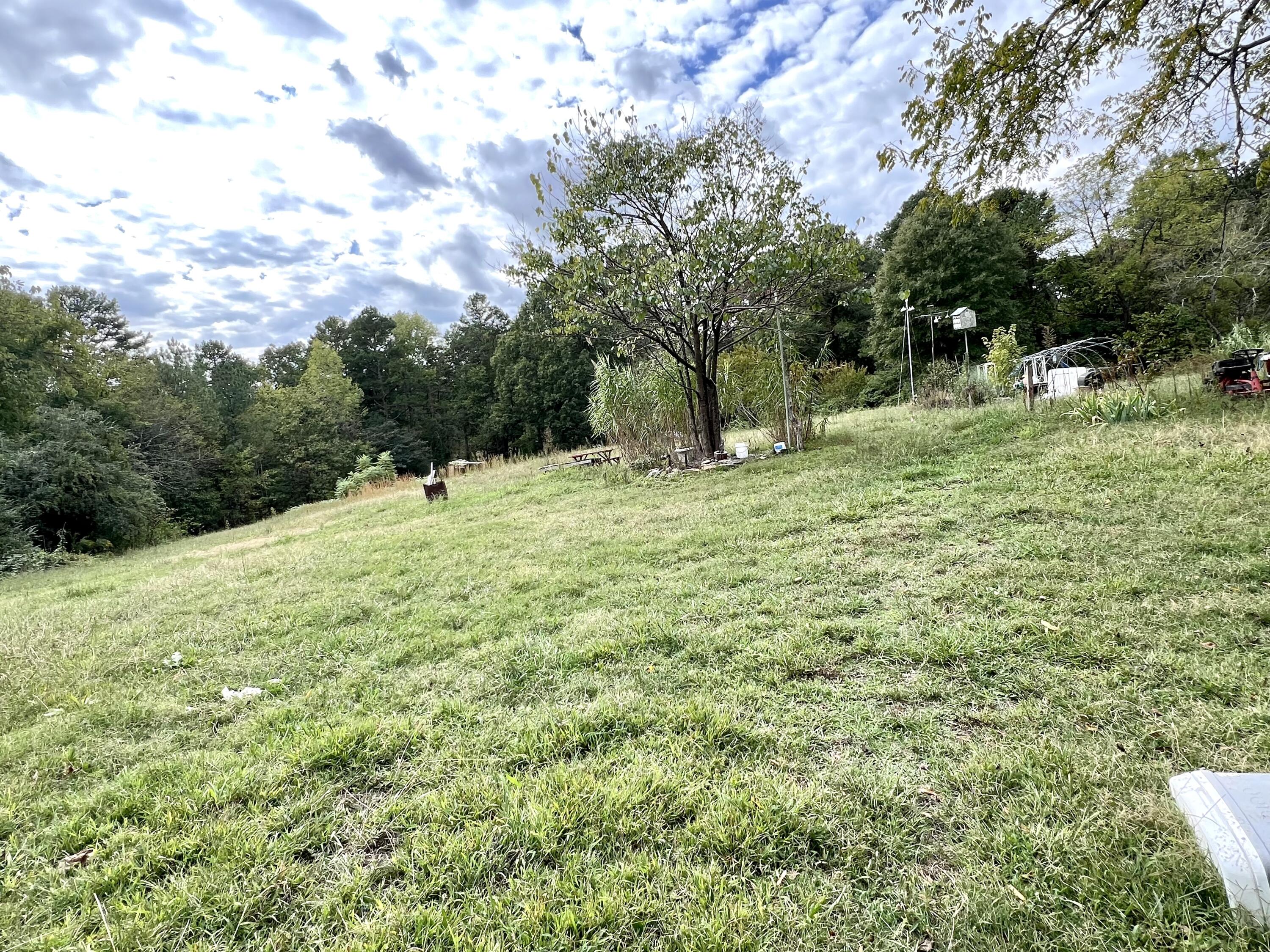 407 North Jenkins Road Rossville, GA 30741 - Photo 17 of 19 Backyard