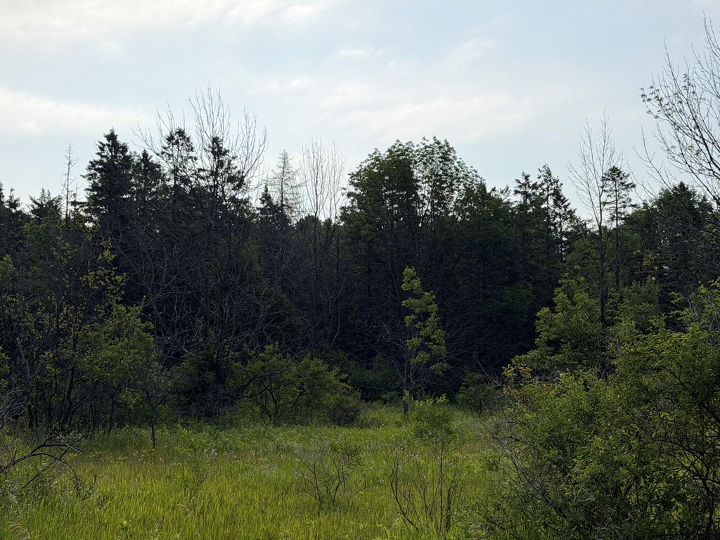 Hillcrest Road Sister Bay, WI 54234 - Photo 6 of 7