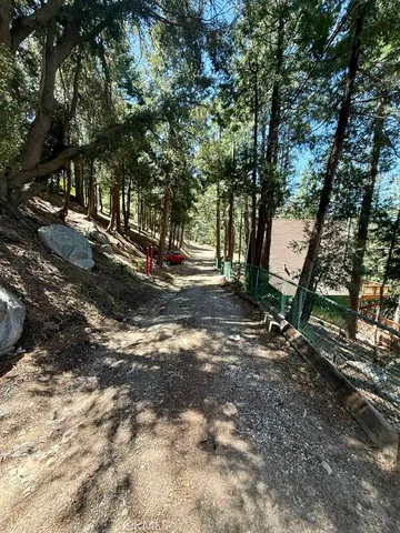 a view of a tree in the middle of a yard