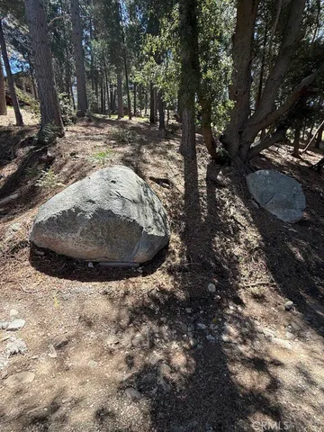 a view of outdoor space with trees