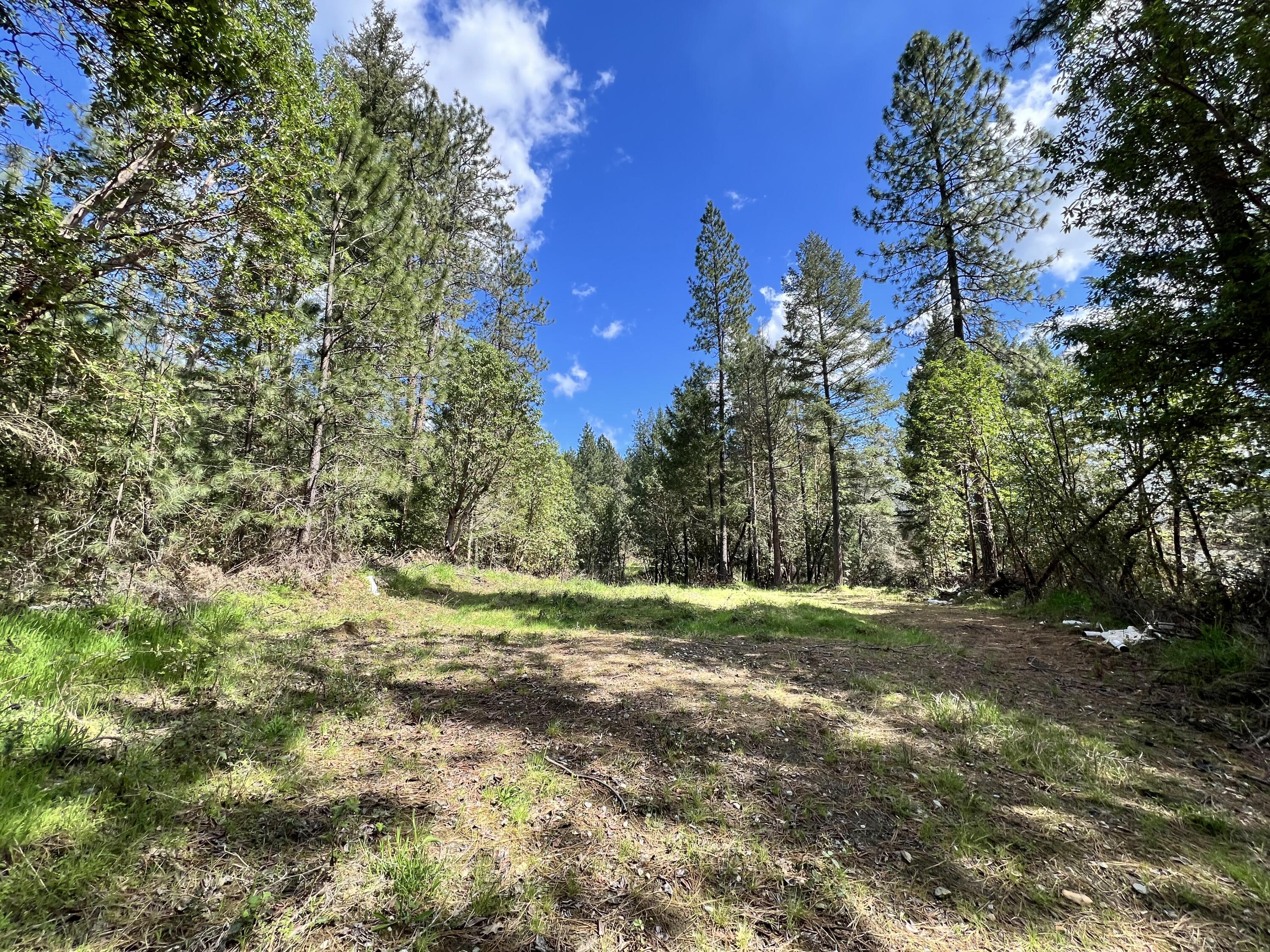 7344 North Applegate Road Grants Pass, OR 97527 - Photo 4 of 4 Land on other side of creek