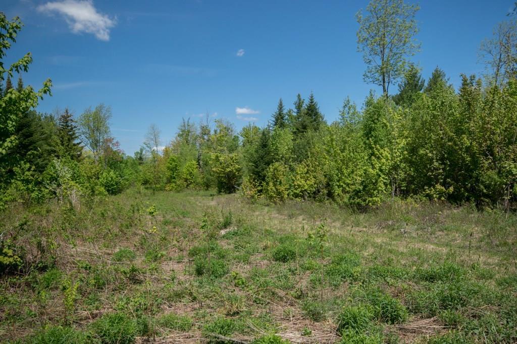 7 Spruce Mountain Road Avon, ME 04966 - Photo 9 of 10 Land