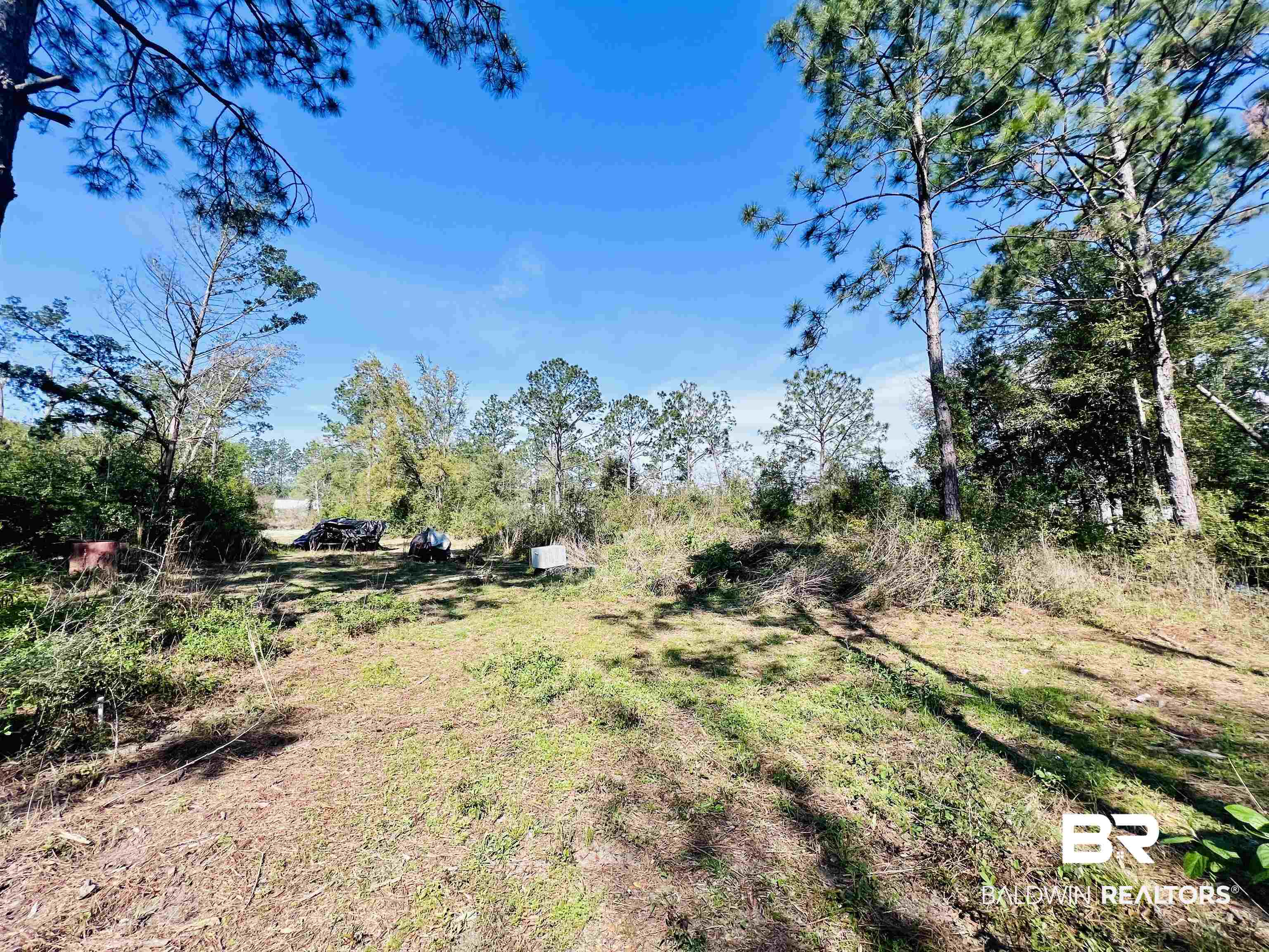 19338 3 Rivers Road Seminole, AL 36574 - Photo 6 of 20