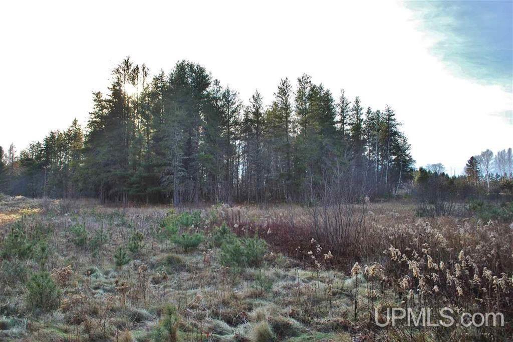25215 Bootjack Road Lake Linden, MI 49945 - Photo 30 of 33