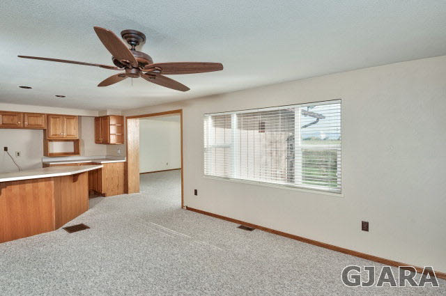 938-19 19 1/2 Road Fruita, CO 81521 - Photo 3 of 35