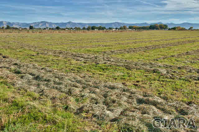 938-19 19 1/2 Road Fruita, CO 81521 - Photo 35 of 35