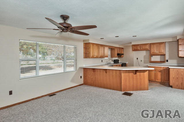 938-19 19 1/2 Road Fruita, CO 81521 - Photo 4 of 35