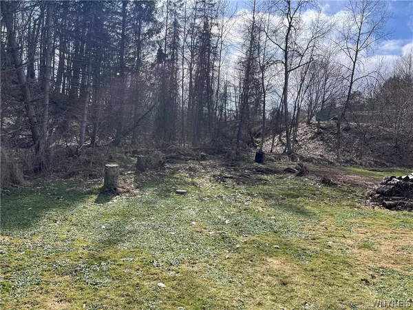 $150,000 | 7259 Main Street, Pike, NY 14066