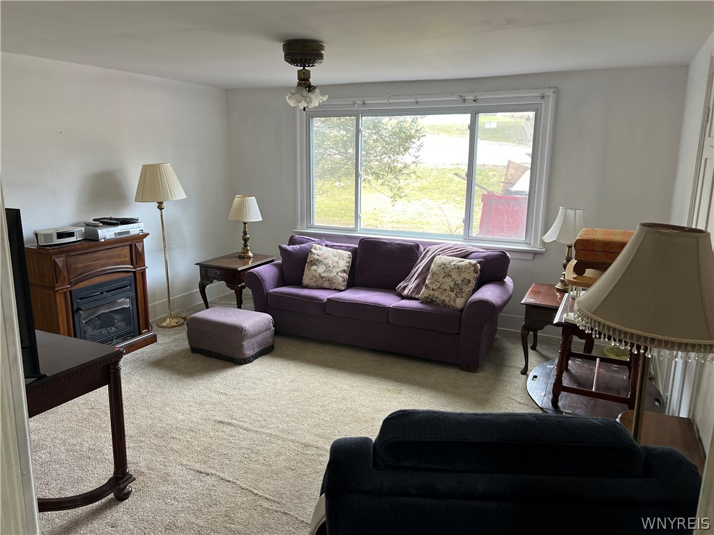 7259 Main Street Pike, NY 14066 - Photo 14 of 48
