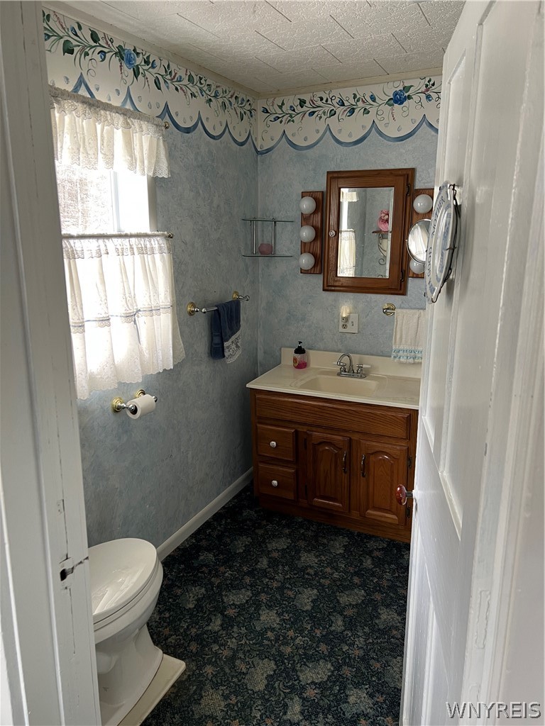7259 Main Street Pike, NY 14066 - Photo 21 of 48