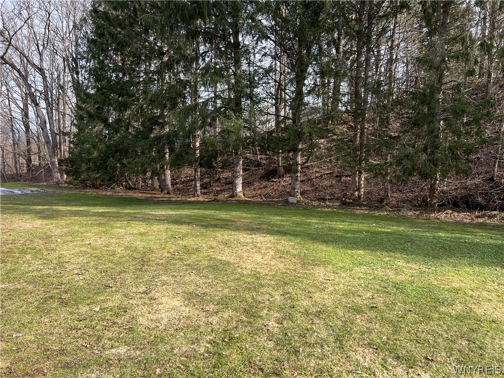 7259 Main Street Pike, NY 14066 - Photo 10 of 48