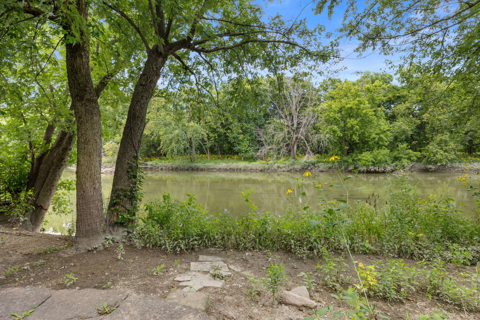 260 Maplewood Road Riverside, IL 60546 - Photo 46 of 48 a view of a lake with a yard