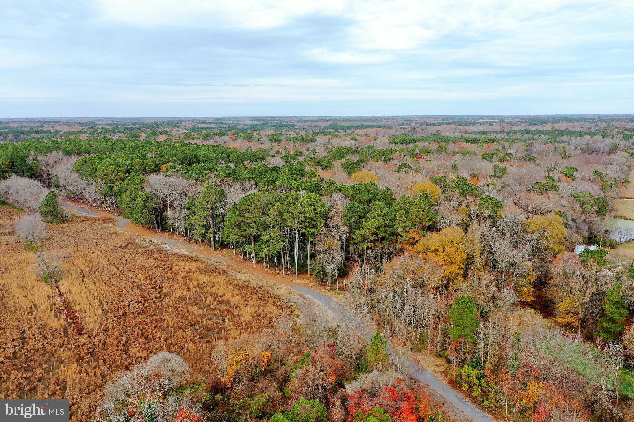 Parcel #169 Georgetown Road Berlin, MD 21811 - Photo 1 of 15