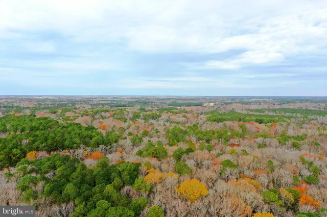 $449,900 | Parcel #169 Georgetown Road, Berlin, MD 21811