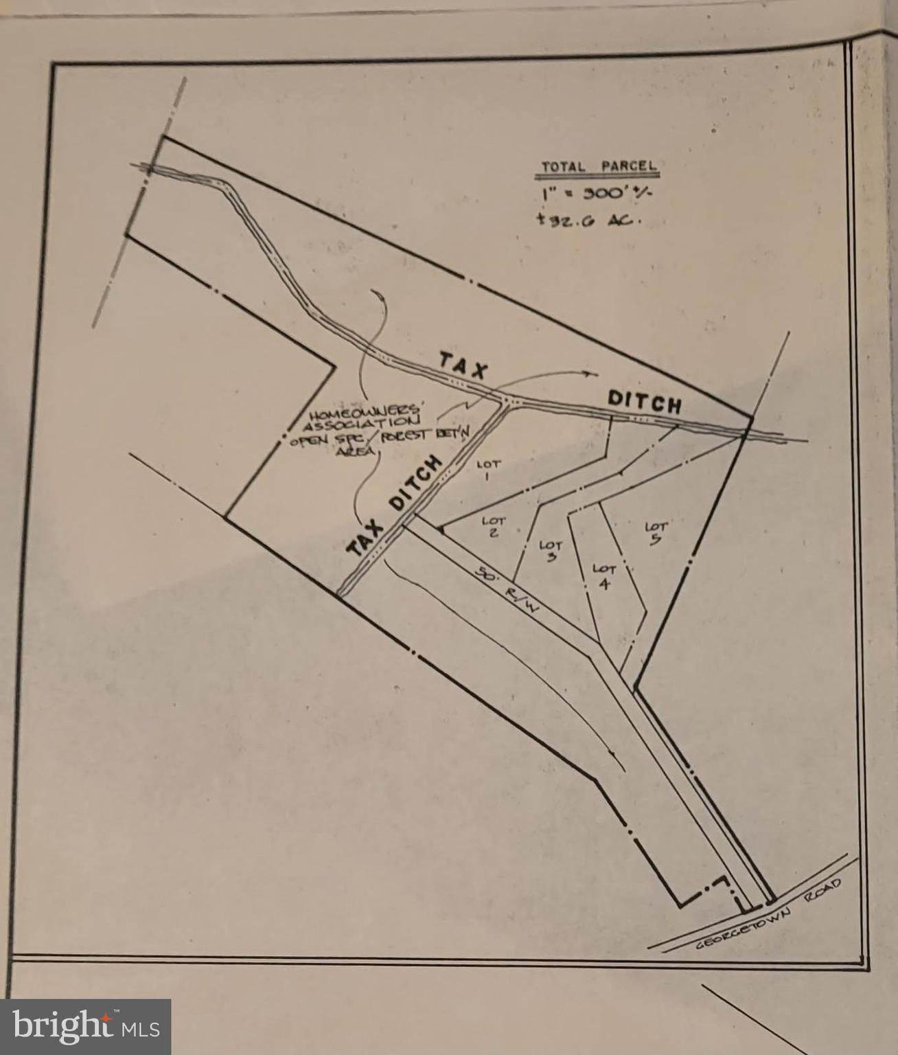 Parcel #169 Georgetown Road Berlin, MD 21811 - Photo 14 of 15