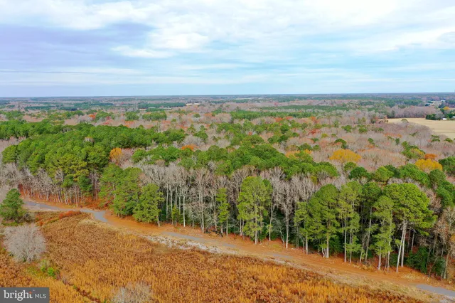 $449,900 | Parcel #169 Georgetown Road, Berlin, MD 21811