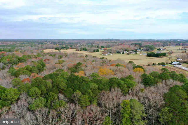 $449,900 | Parcel #169 Georgetown Road, Berlin, MD 21811